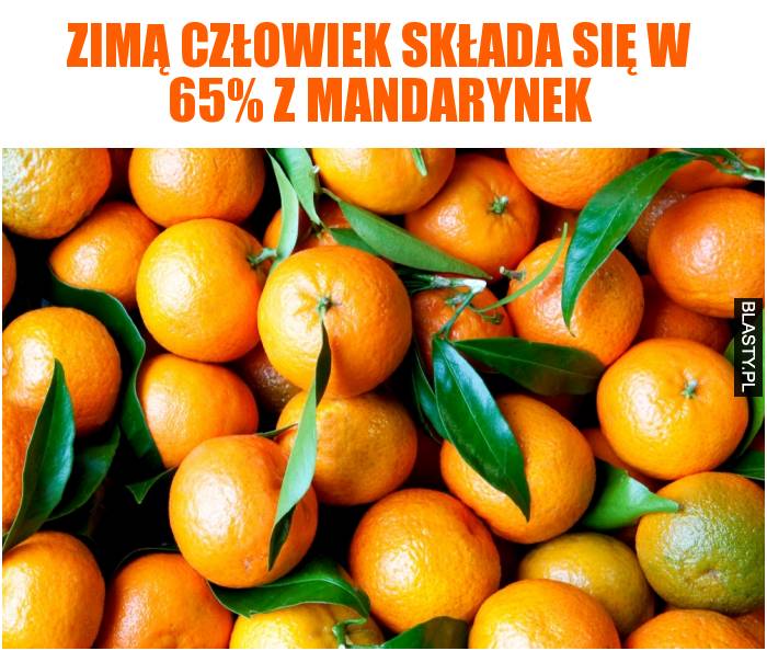 Zimą człowiek składa się w 65% z mandarynek