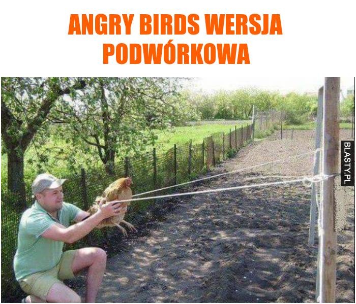 angry birds