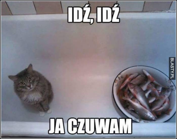 idź idź ja uczuwam