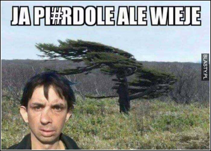 Ja pierdolę ale wieje