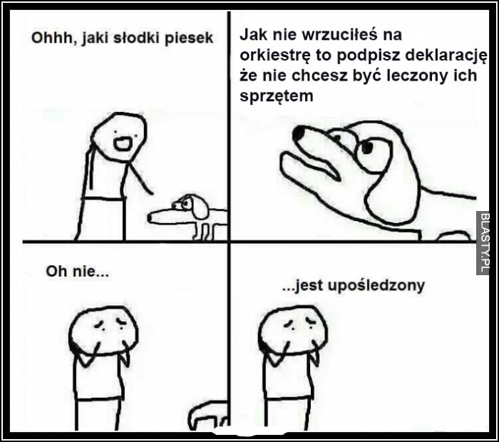 Jak nie wrzuciłeś na wośp to podpisz deklaracje