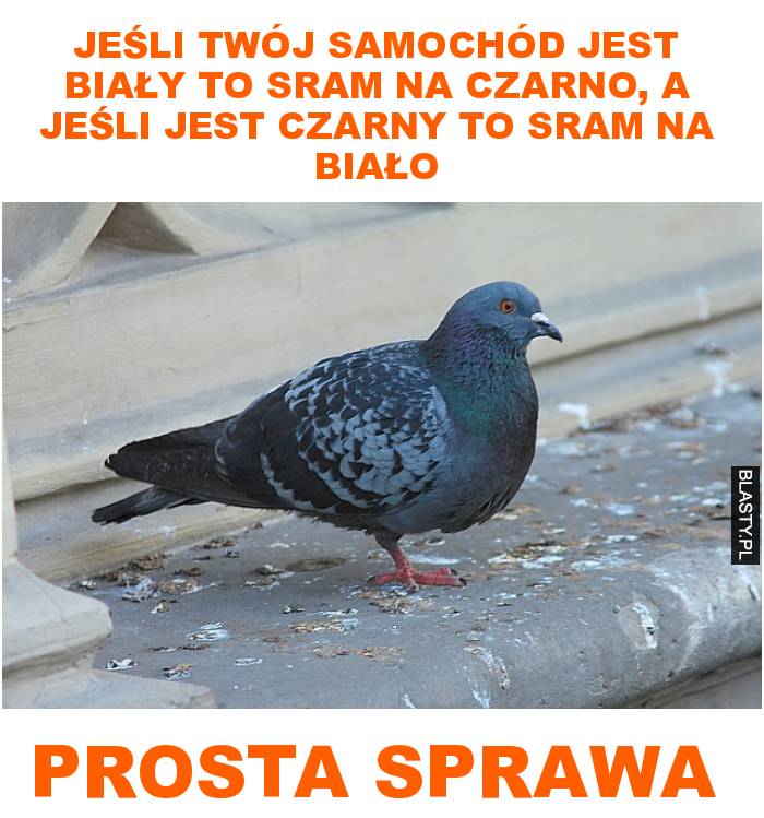 Jeśli twój samochód jest biały to sram na czarno, a jeśli jest czarny to sram na biało