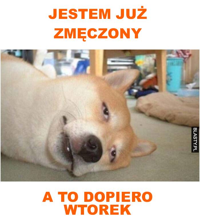 jestem już zmęczony