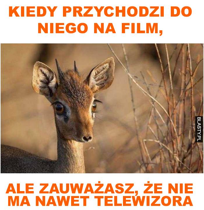 Kiedy przychodzi do niego na film, ale zauważasz, że nie ma nawet telewizora