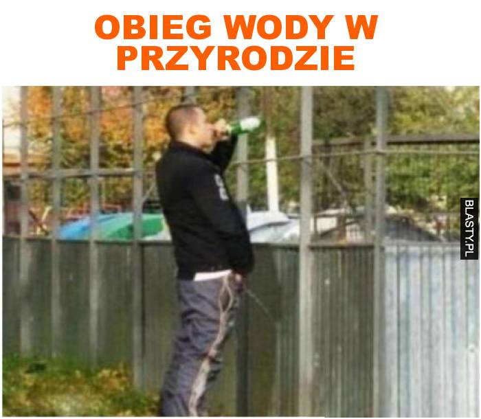 obieg wody w przyrodzie