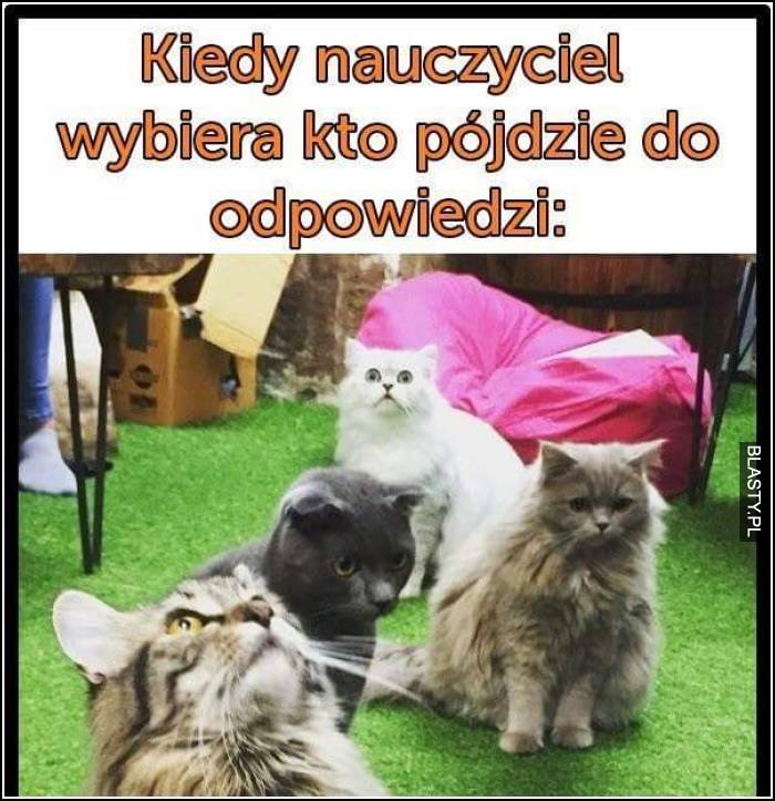 odpowiedź na lekcji