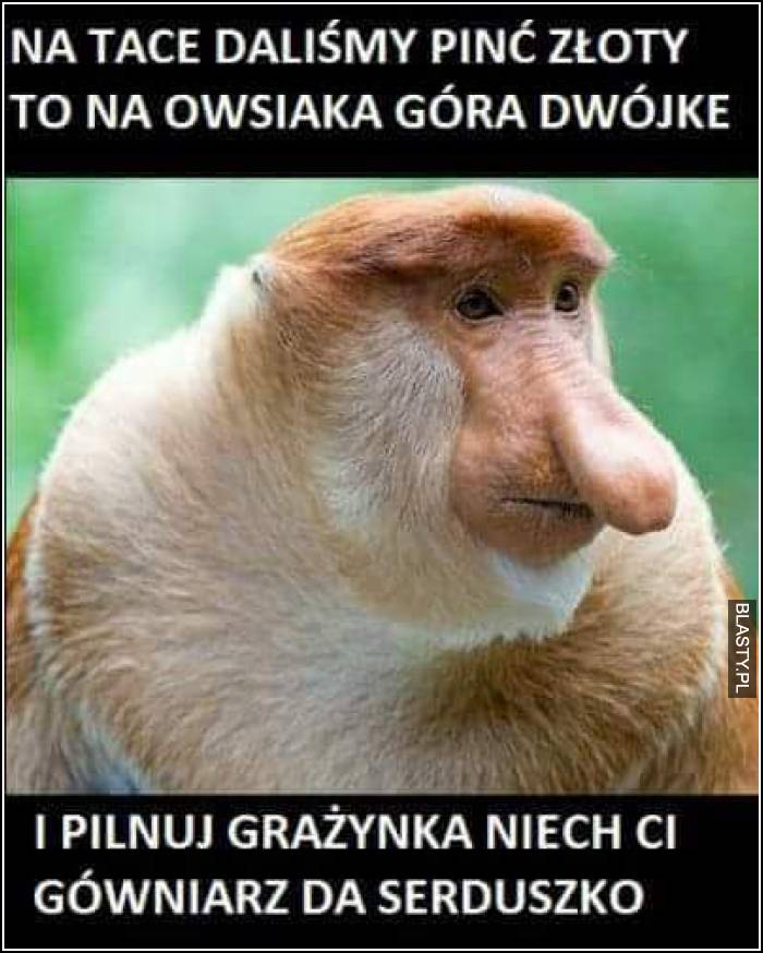 pilnuj