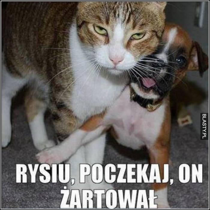 rysiu poczekaj, on żartował