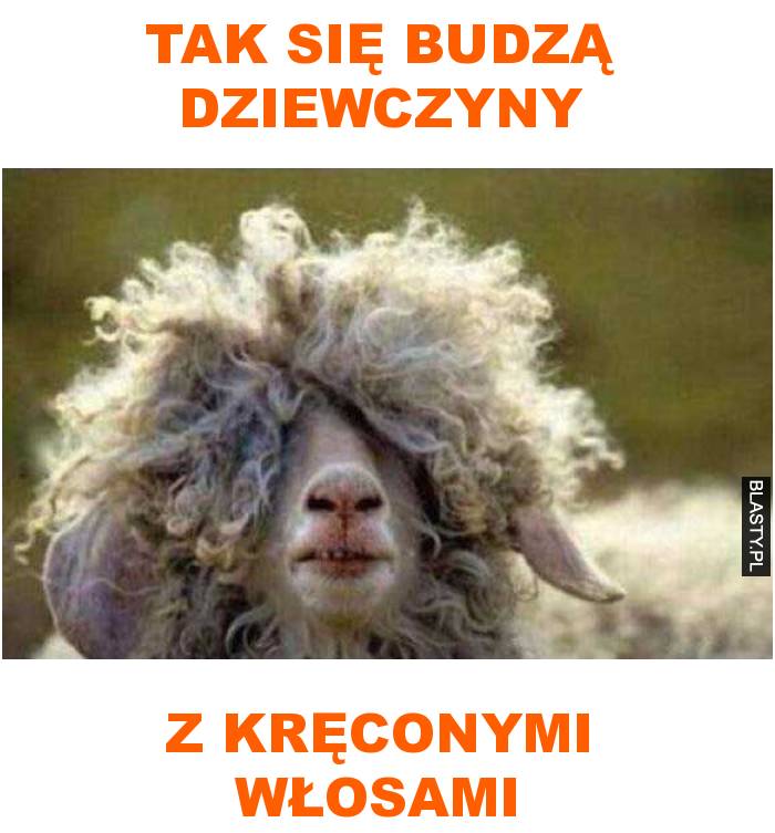 tak się budzą dziewczyny