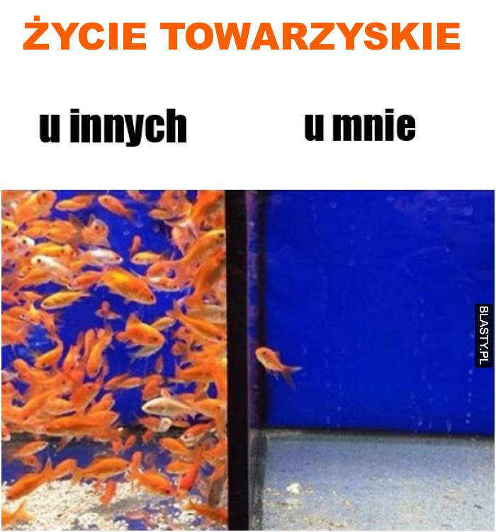 życie towarzyskie