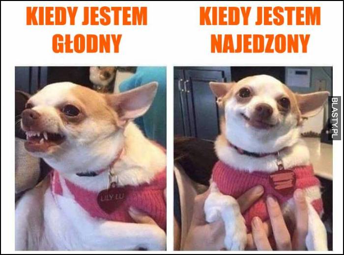 Głodny nie jesteś sobą