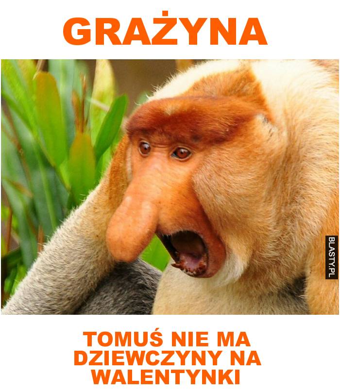 grażyna, tomuś nie ma dziewczyny na walentynki