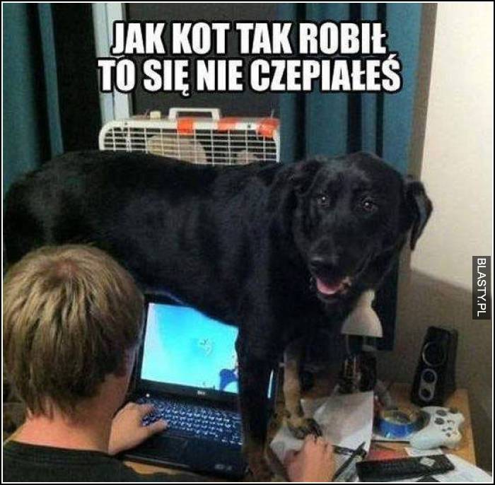 jak kot tak robił to się nie czepialeś