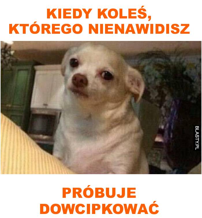 Kiedy koleś, którego nienawidisz próbuje dowcipkować