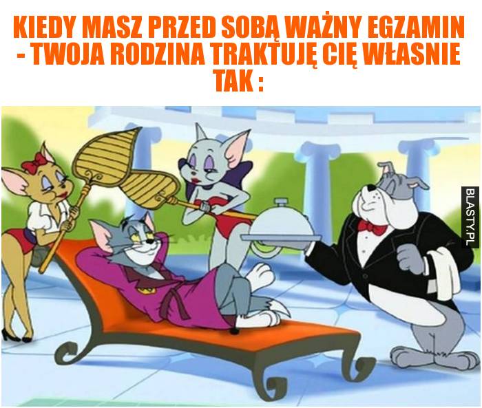 Kiedy masz przed sobą ważny egzamin - Twoja rodzina traktuję Cię własnie tak :