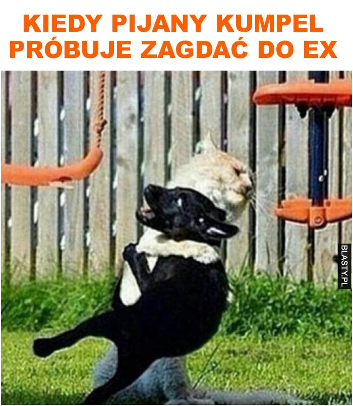 kiedy pijany kumpel próbuje zagdać do ex