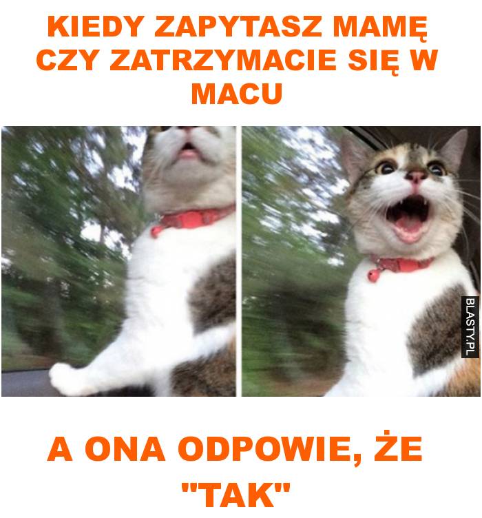 kiedy zapytasz mamę czy zatrzymacie się w macu