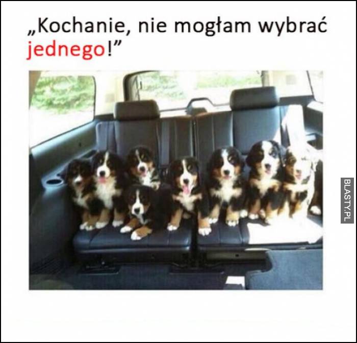 kochanie, nie mogłem wybrać jednego