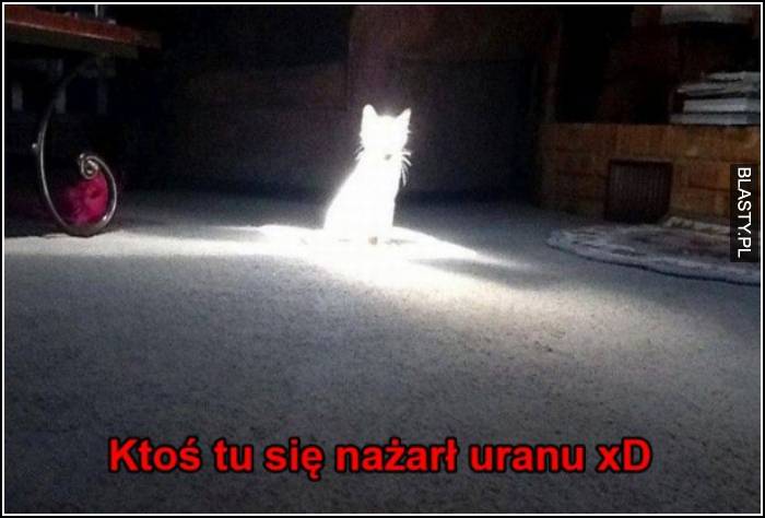 ktoś tu się nażarł uranu