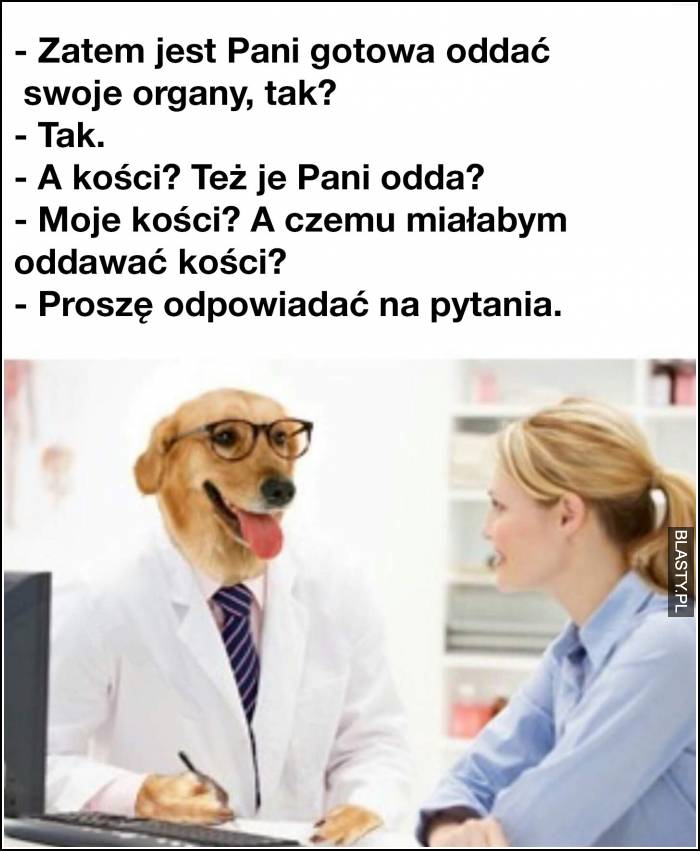 nie dla psa kiełbasa