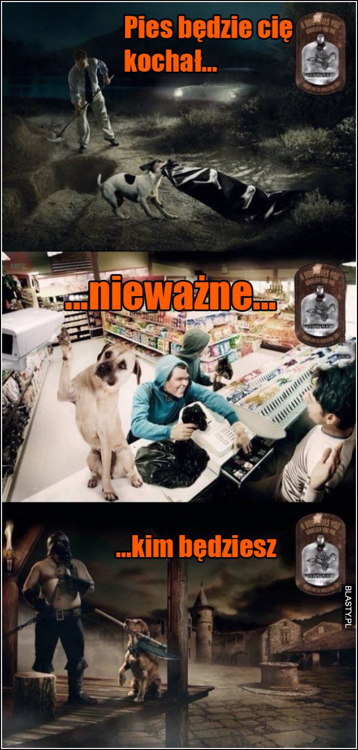 pies będzie cie kochał nieważne kim będziesz