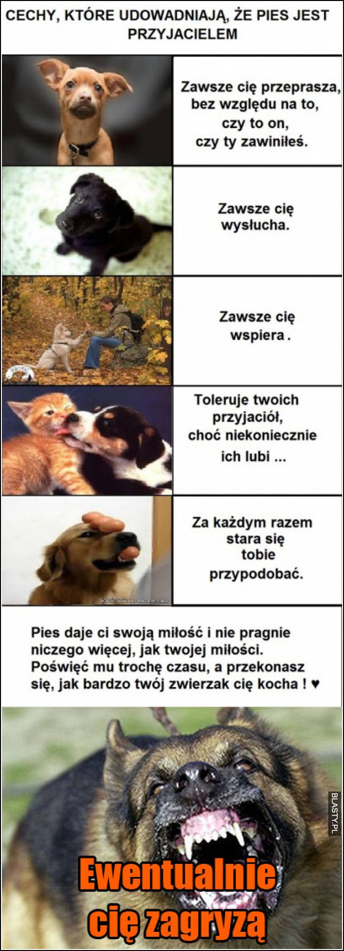 psy są takie słodkie