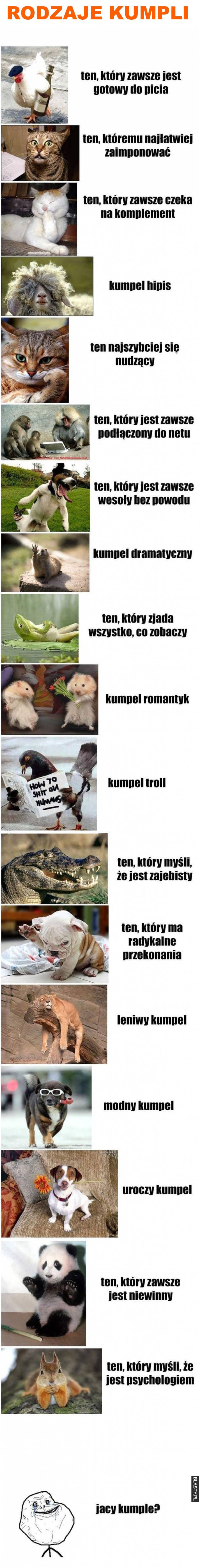 Rodzaje kumpli