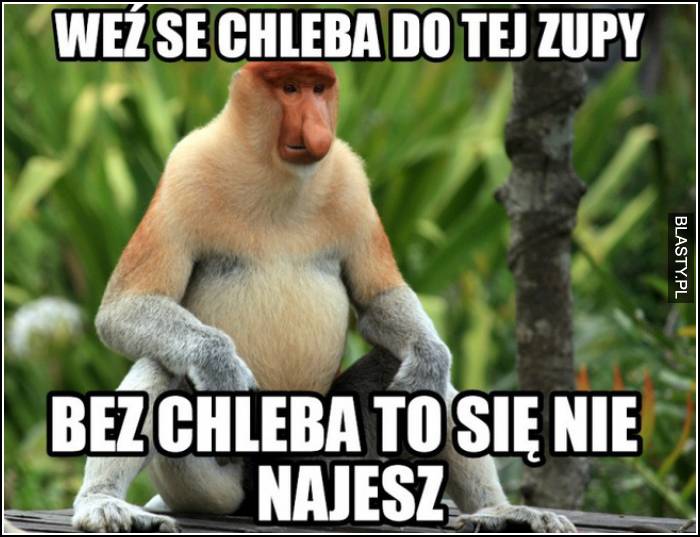 Weź se chleba do tej zupy