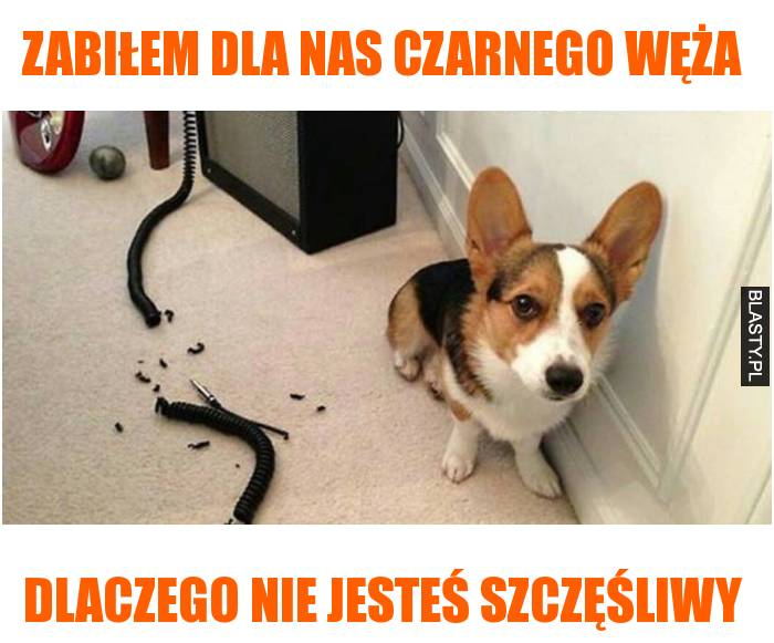 Zabiłem dla nas czarnego węża