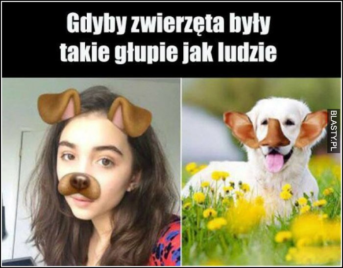 Gdyby zwierzęta były takie głupie jak ludzie