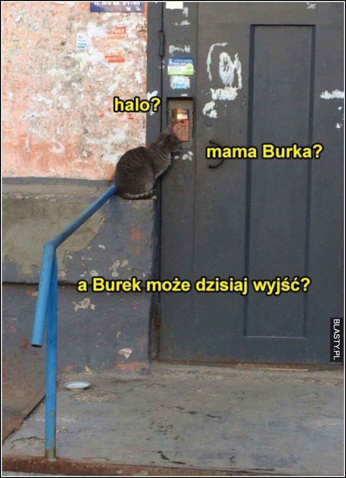 Halo ? mama burka