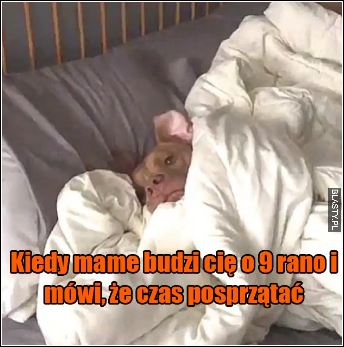 kiedy mam budzi cie o 8 rano i mówi, że czas na sprzątanie