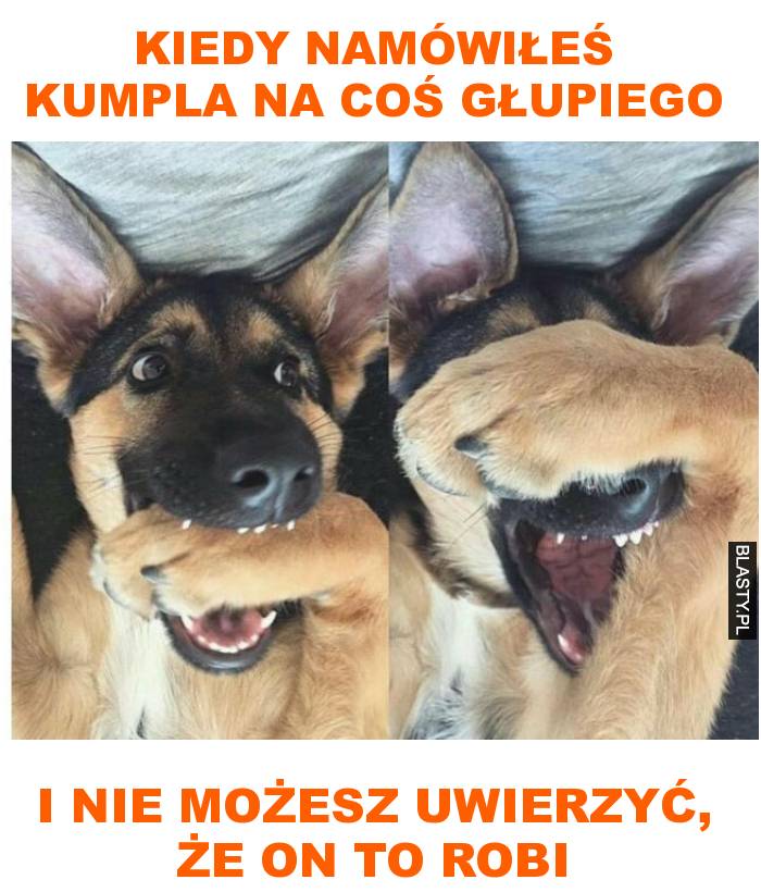 kiedy namówiłeś kumpla na coś głupiego