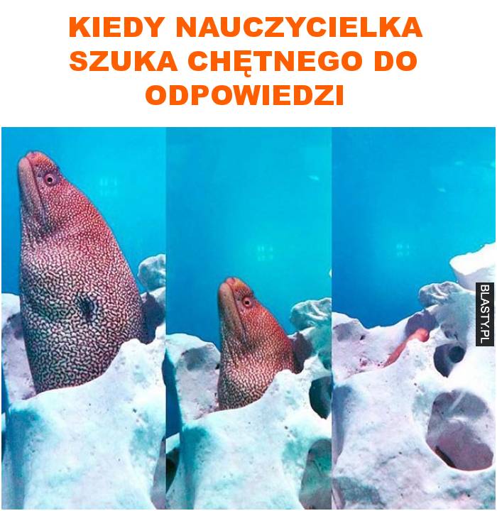 kiedy nauczycielka szuka chętnego do odpowiedzi