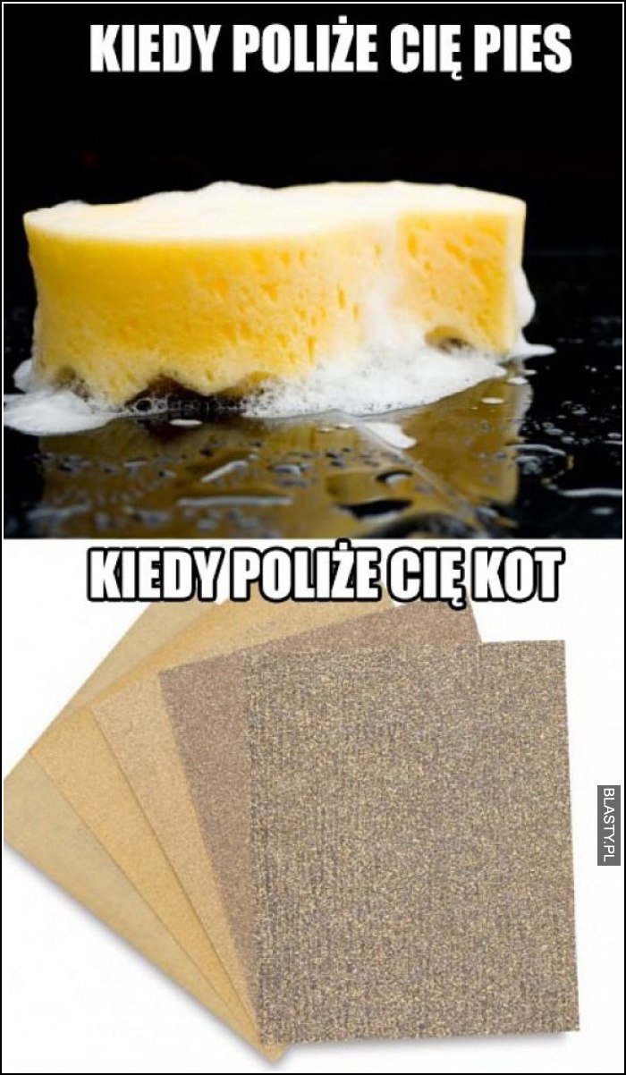 kiedy poliże cię pies