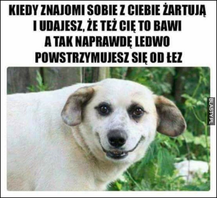 Kiedy znajomi z Ciebie żartują i udajesz, że też cię to bawi