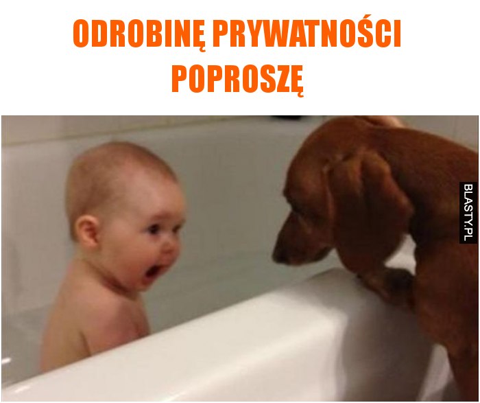 Odrobinę prywatności poproszę