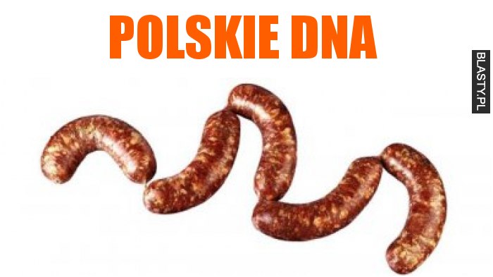Polskie DNA