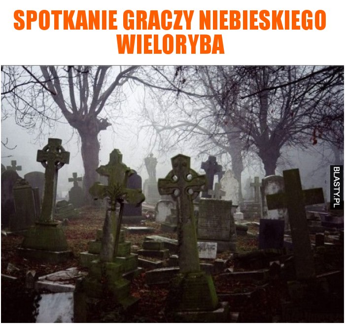 Spotkanie graczy niebieskiego wieloryba