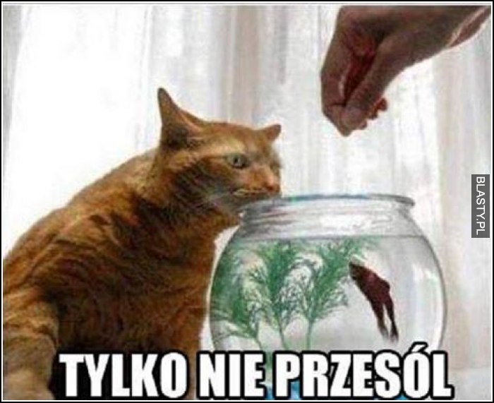 Tylko nie przesól