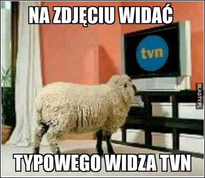 typowy widz TVN