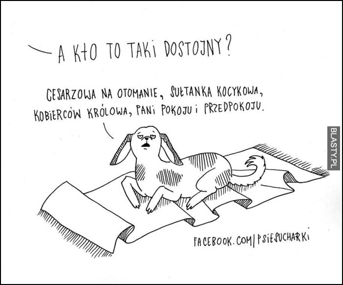 A kto to taki dostojny