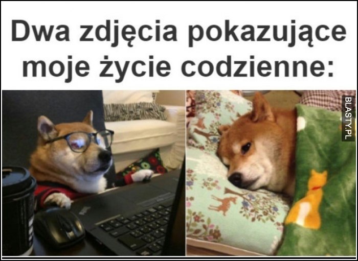 dwa zdjęcia pokazujące moje życie codzienne