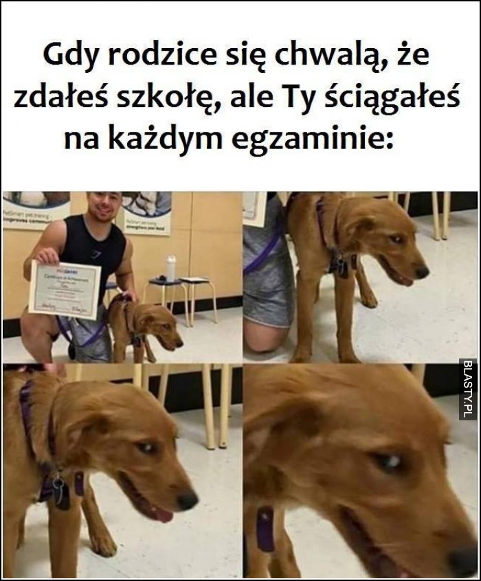 Gdy rodzice się chwalą, że zdałeś szkołę