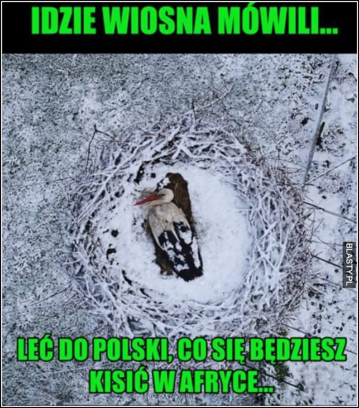 Idzie wiosna mówili