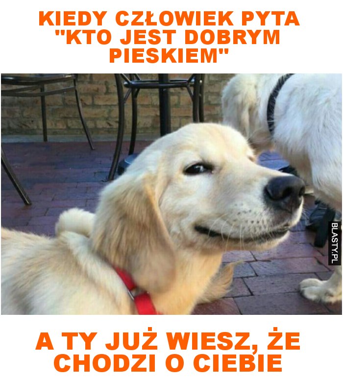 kiedy człowiek pyta 