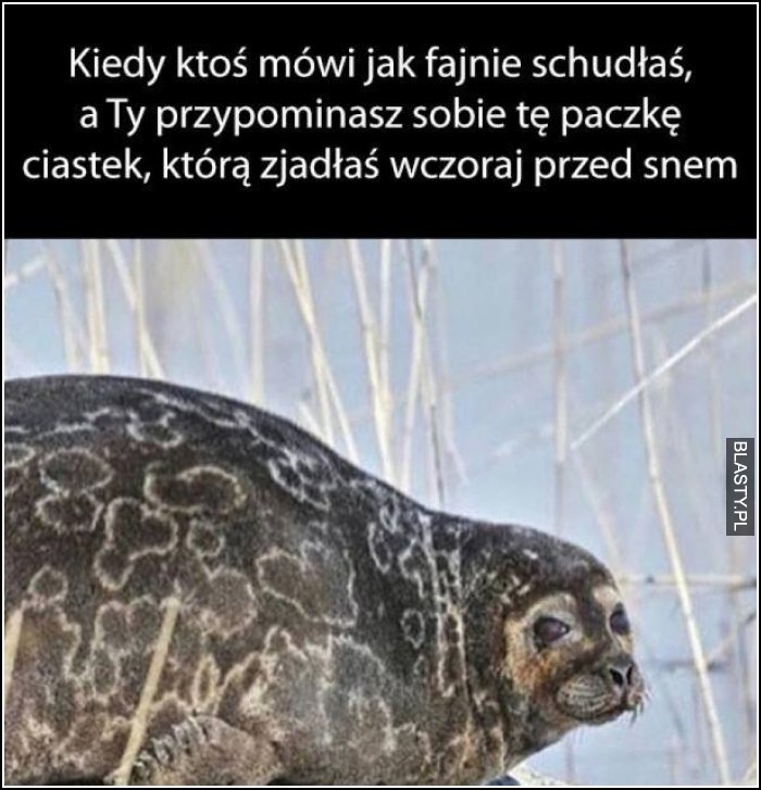 Kiedy ktoś mówi jak fajnie schudłaś