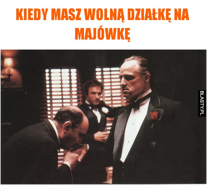 Kiedy masz wolną działkę na majówkę