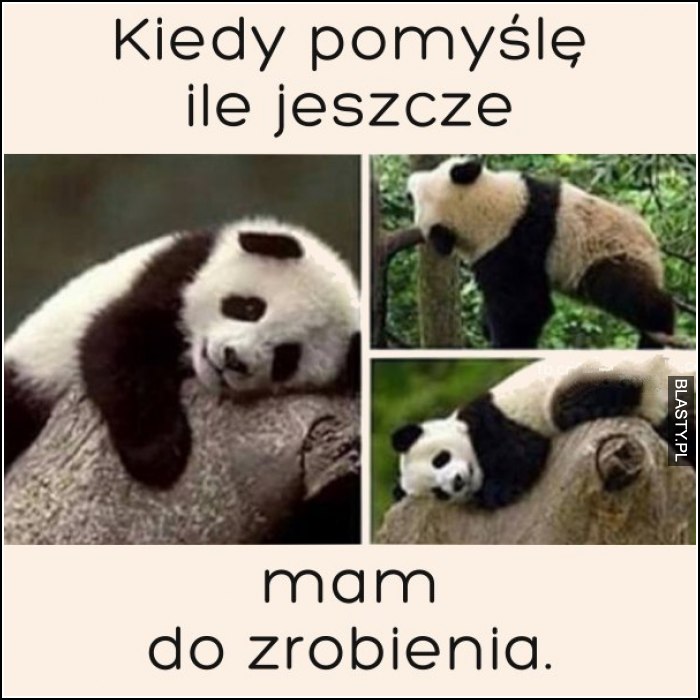 Kiedy pomyślę ile jeszcze mam do zrobienia