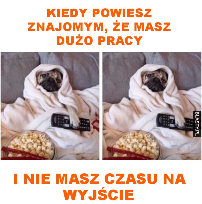 Kiedy powiesz znajomym, że masz dużo pracy